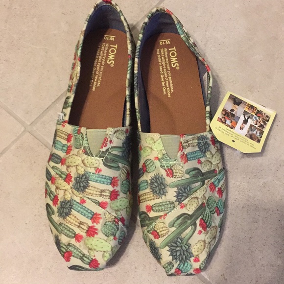 cactus toms shoes